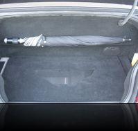 DB9TRUNK12.jpg